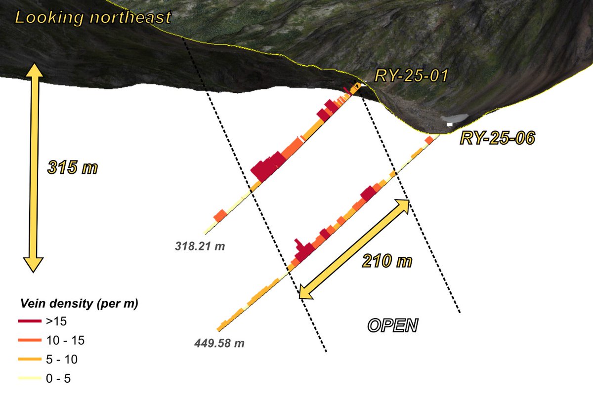 Rye Drilling to Compare Mineralization &amp; Continuity ✅

🟡  RY-25-06 was a step-out hole collared 130 m south of hole RY-25-01, with the same azimuth and dip. The hole was designed to test the width and down-dip extent of the zone of sheeted veins encountered in hole RY-25-01.