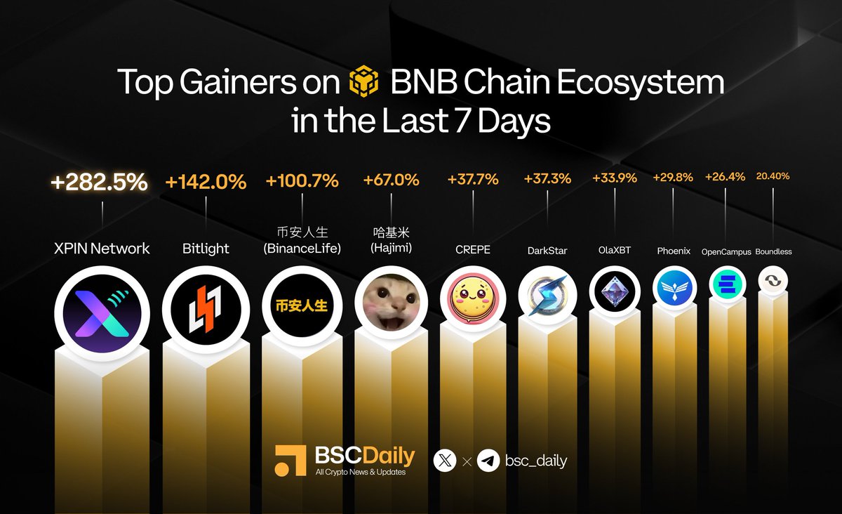 BSCDaily tweet media
