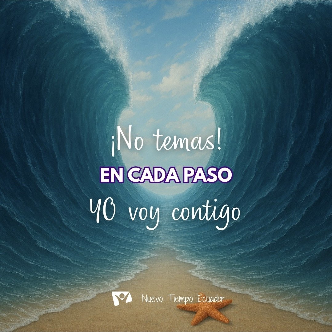 josefelixcar77's tweet image. Os entrego todo lugar donde pongáis el pie, según prometí a Moisés
#Josue.1:3
✨️Se requiere sacrificio personal
✨️Y Fe audaz y valiente
✨️La promesa de Dios es para Ti, cuando avanzas pidiendo que se cumpla se hará realidad
✨️Con Dios puedes!
#Rpsp