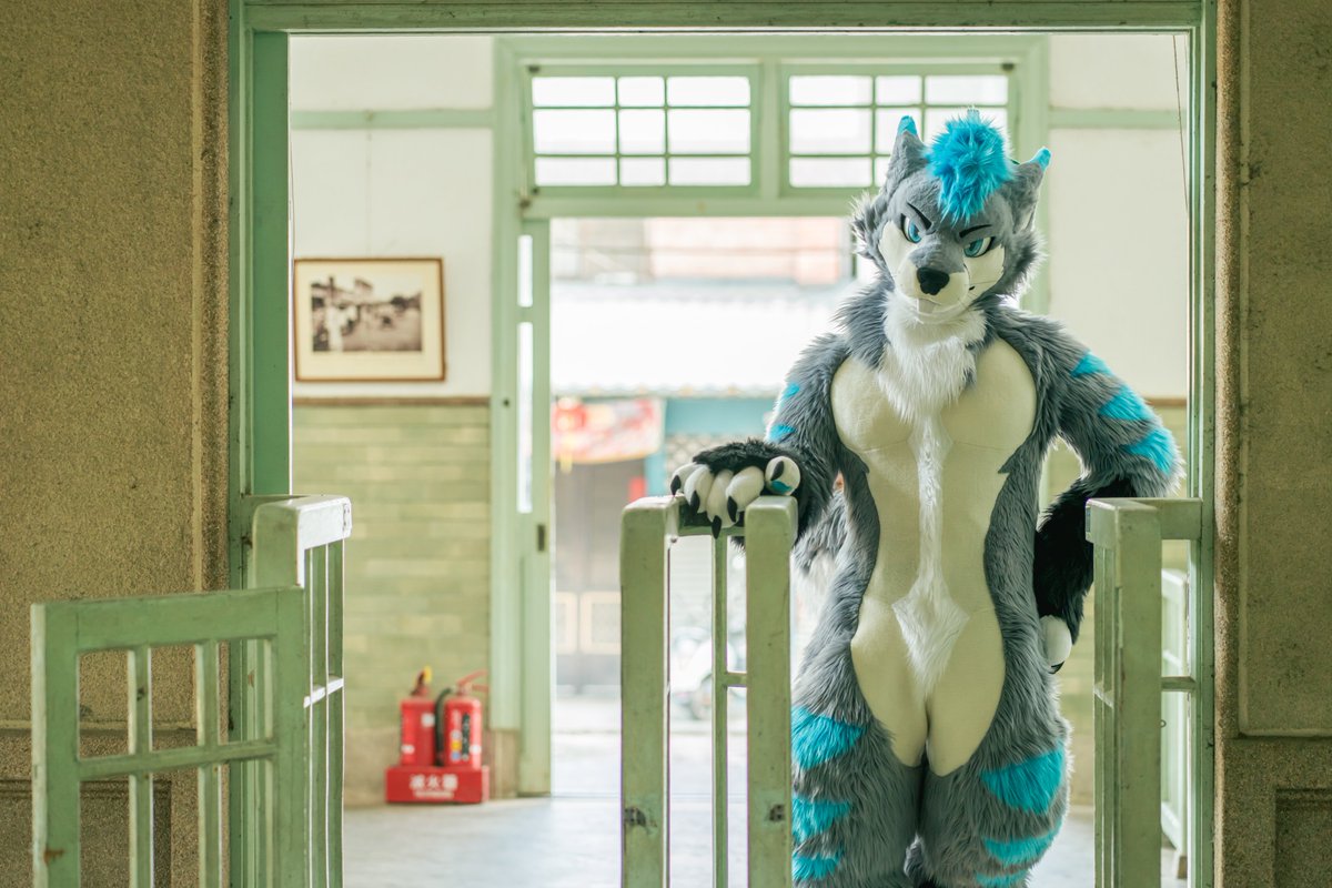 さあ、一緒に旅に出よう！

Let’s go—let’s travel together!

走吧，一起去旅行！

📷: <a href="/daisukechen_tw/">大助喵➡Infurnity</a>

✂️: <a href="/kigurumikagetsu/">きぐるみ花月/Kigurumi Kagetsu</a>

#FursuitFriday #MountainPineTW