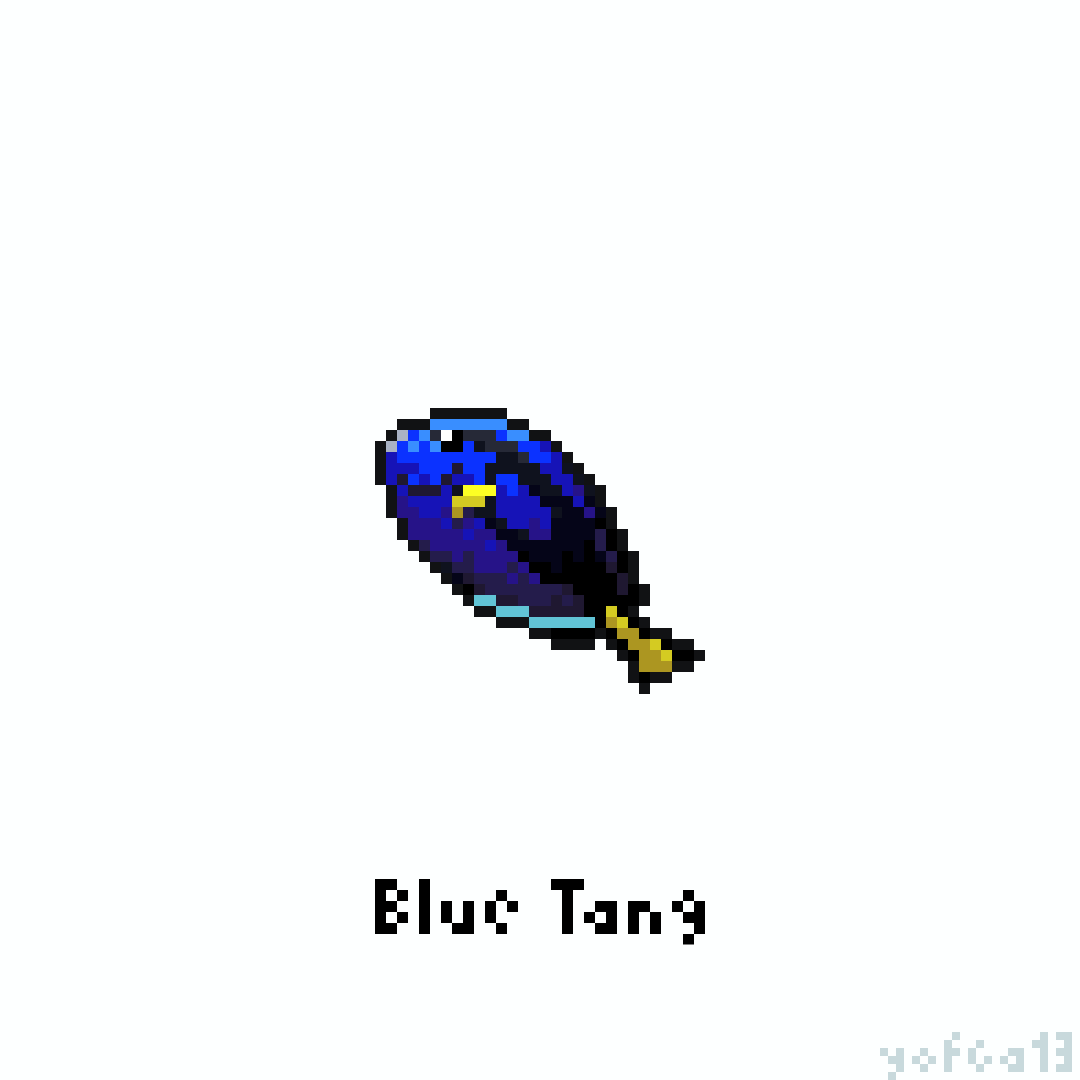 yofca13's tweet image. ナンヨウハギ / Blue Tang
#pixelart #illustration #ドット絵