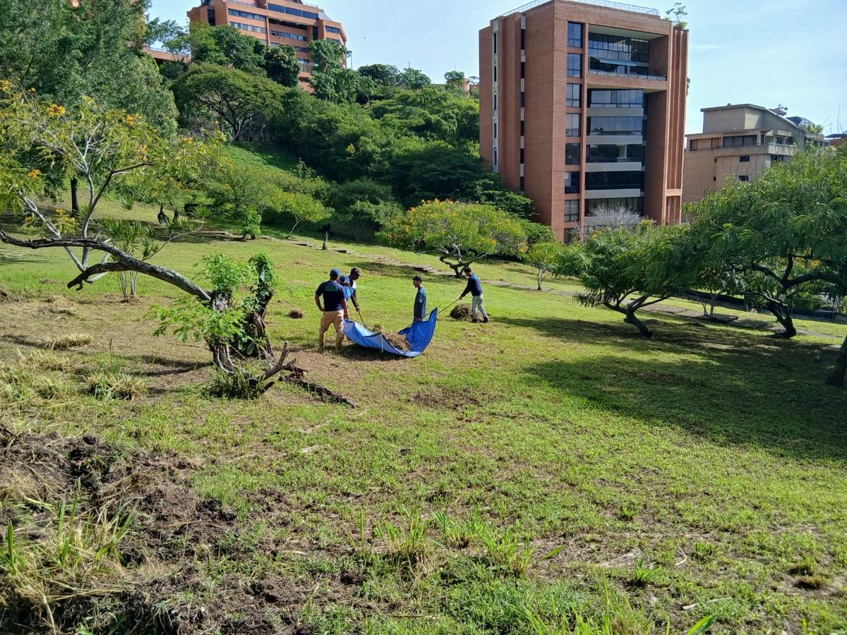 AlcaldiaBaruta's tweet photo. ¡Feliz día baruteños!
La cuadrilla de #ÁreasVerdes 🍃sigue realizando labores de:
🍃Desmalezado y recolección de desechos vegetales:
📍Urb. #PradosDelEste
📍Urb. #ColinasDeValleArriba https://t.co/Dn3IpkZDnW