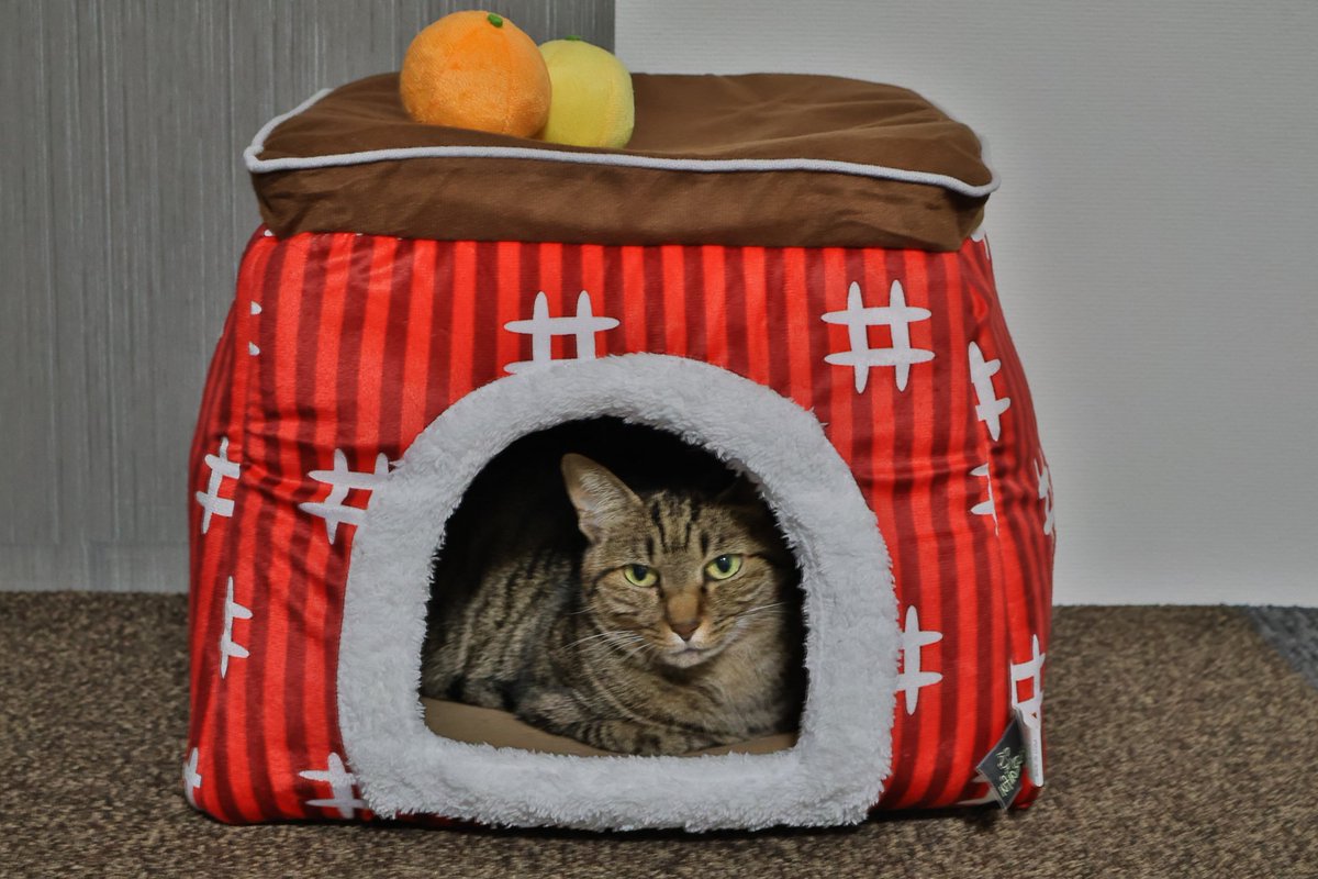 katttiページ♡⃜ 💰💵ギャルルン💵💰 on X