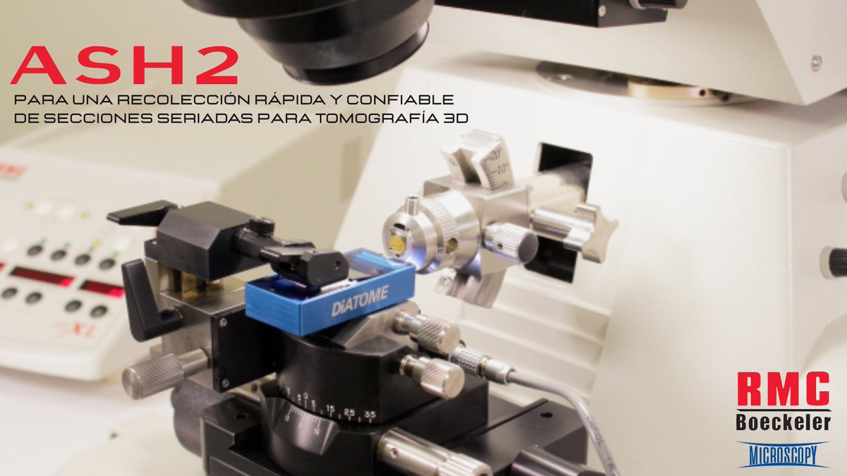 Microscopy_SA's tweet photo. En #SEM un error en el seccionamiento compromete semanas de trabajo
El #ASH2 de @RMCBoeckeler recolecta cientos de secciones seriadas con precisión milimétrica en una fracción del tiempo!
🔺Instalación sin modificaciones
🔺Alta precisión y compatibilidad
👉https://t.co/oNRBV1ttFf https://t.co/UewzRx0KHz