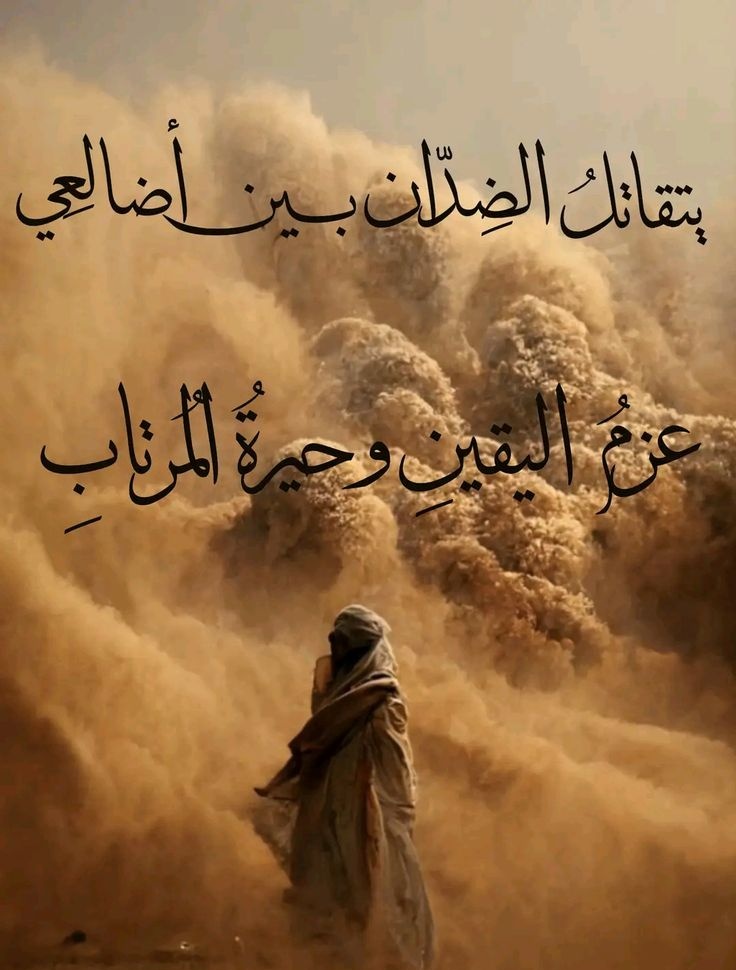 fos7a_f's tweet image.