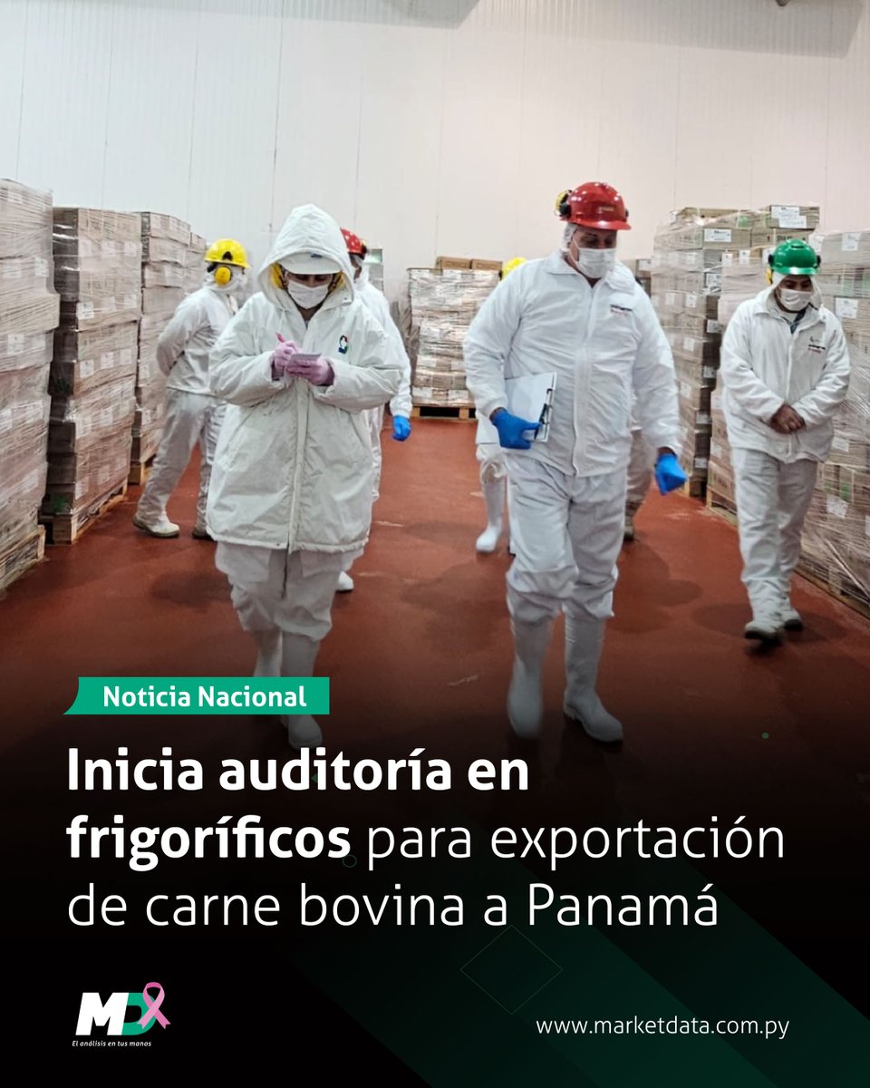 marketdata_py's tweet image. 🇵🇦🥩 El @SENACSA anunció el inicio de la auditoría de la Dirección Nacional de Control de Alimentos y Vigilancia Veterinaria (DNCAVV) de Panamá.
El objetivo es habilitar frigoríficos para la exportación de carne bovina a ese país.
📍 Leé más en n9.cl/kdooy