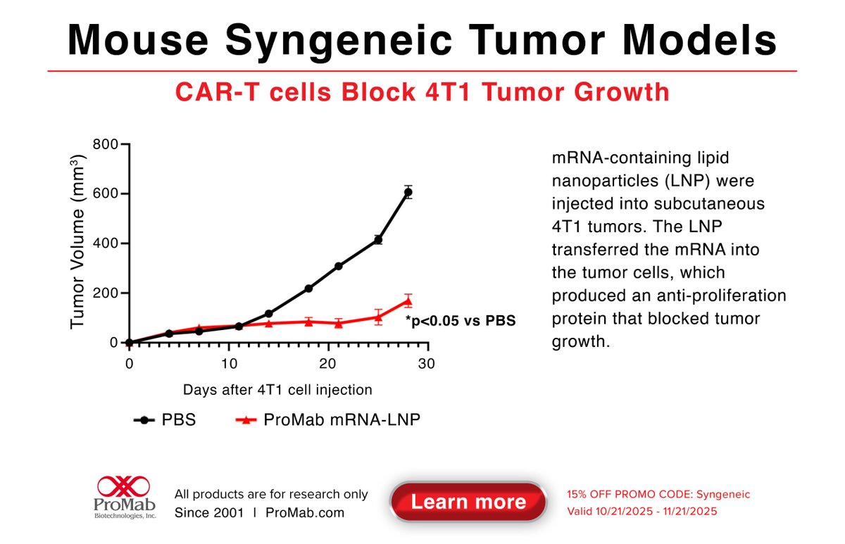 ProMabBiotech's tweet image. 🧪🔬ProMab offers syngeneic mouse tumor studies to test your therapeutics quickly and inexpensively. Pick your mouse strain, tumor line, drug formulation and delivery route today! Learn more 👉🔗na2.hubs.ly/H01J3SZ0 #AnimalResearch #mRNA #CART #CancerResearch #ProMabBioEra