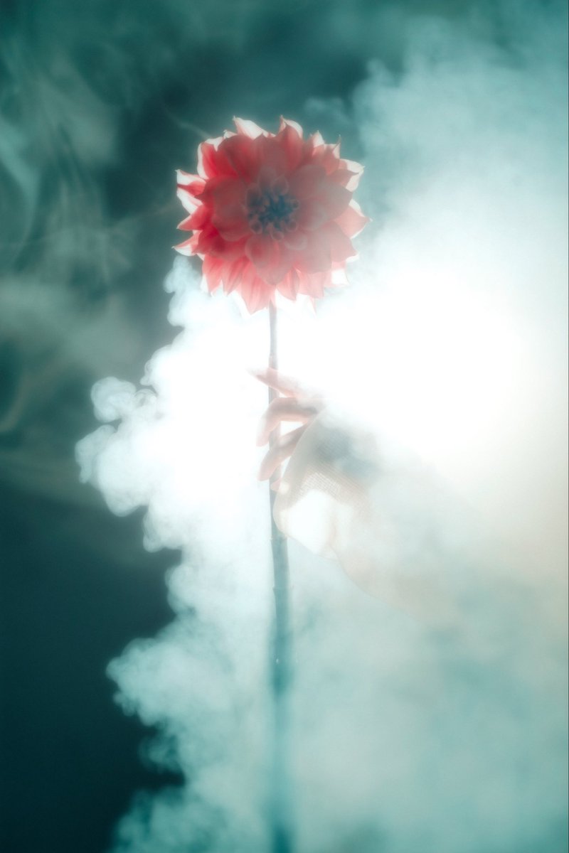 <a href="/metaprojectch/">meta project</a> Hi Meta! 

Impulse 
8/12
7 xtz

Veil of light 
2/3
10 xtz🖇️