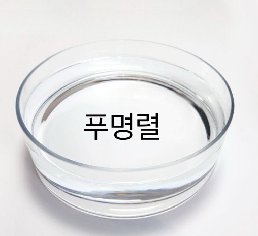 저는 오늘 봣어요 가능성을