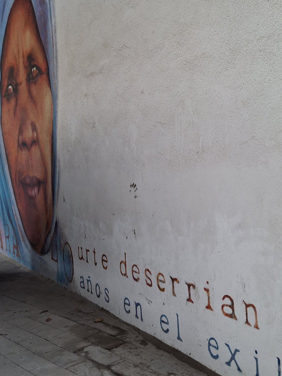 Sahara: 40 urte deserrian.