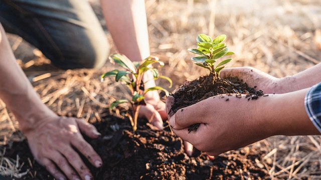 BehiwotTilahun's tweet image. 🌿 Good news 🇪🇹✨

#Ethiopia has received a @UN award for its record-breaking reforestation efforts, a global recognition of the nation’s green legacy and environmental leadership.🌱
#Ethiopia #GreenLegacy #UN #Environment

 tvbrics.com/en/news/ethiop…