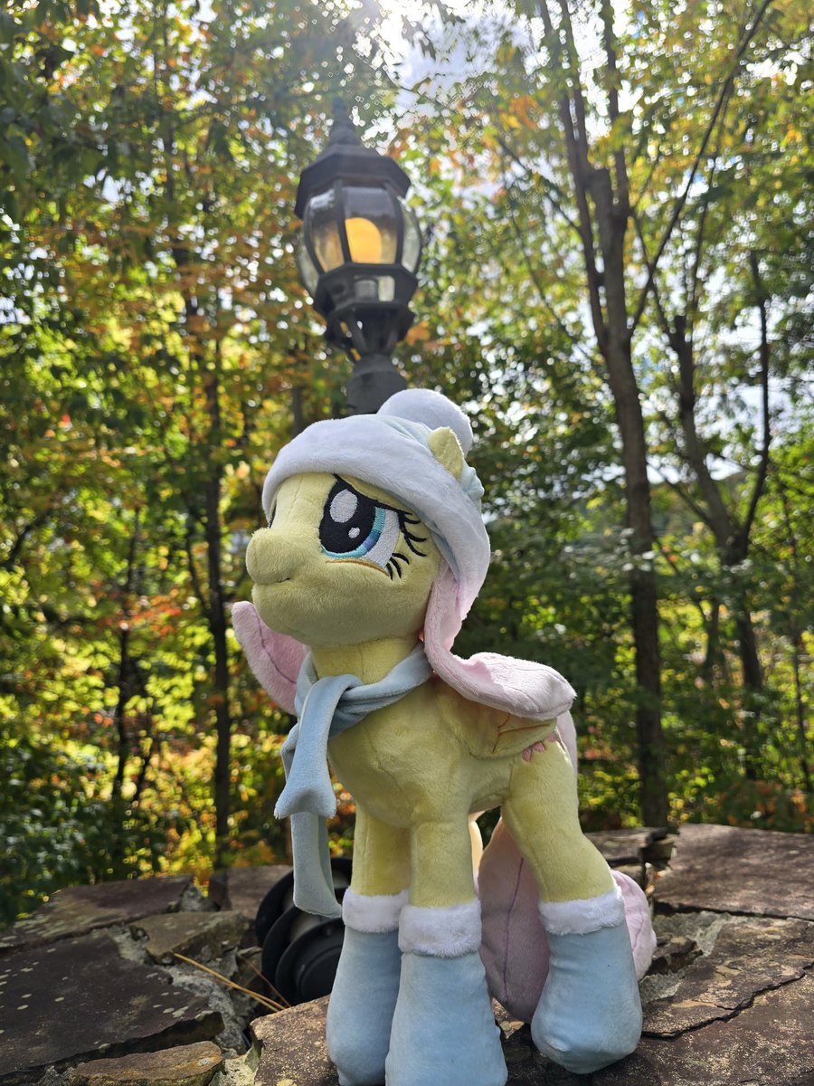 DoodlesDoodles8's tweet image. I took Flutters to the mountains with me and she had a great time hehe she&apos;s ready for the chilly times but hates to say goodbye to her hibernating friends! 
$160 plus shipping
#mlp #mylittlepony #plush #plushy #custom #handmade #fluttershy #Christmas #socks