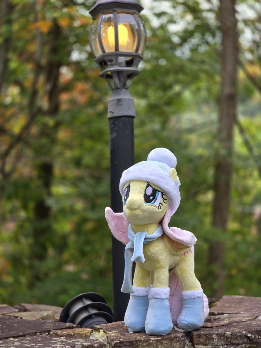 DoodlesDoodles8's tweet image. I took Flutters to the mountains with me and she had a great time hehe she&apos;s ready for the chilly times but hates to say goodbye to her hibernating friends! 
$160 plus shipping
#mlp #mylittlepony #plush #plushy #custom #handmade #fluttershy #Christmas #socks
