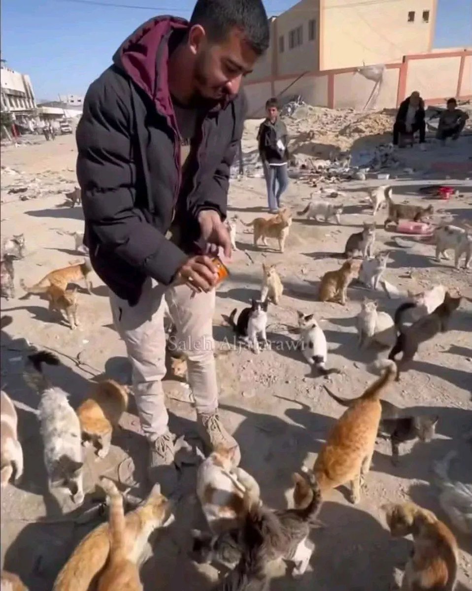 ترحموا عليه....الله يرحموا 
الله يرحمو ويسكنه الفردوس الأعلى كان إنسان على هيئة ملاك😔💔