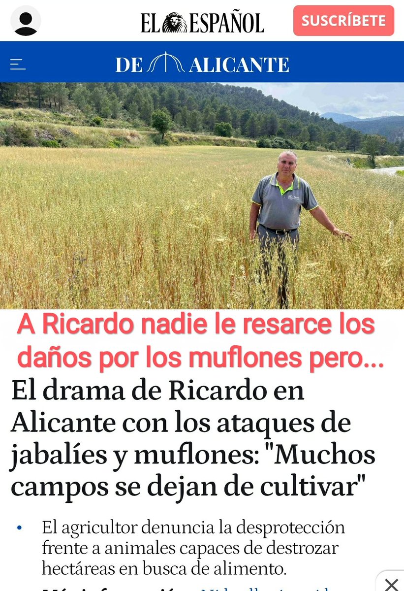 Ha sido publicar el Decreto de "Ungulados" y ya están proliferando las ofertas para su caza. Qué pensará agricultor Ricardo Ferri d'Alcoi⁉️

<a href="/levante_emv/">Levante-EMV</a> <a href="/lasprovincias/">LAS PROVINCIAS</a> <a href="/tonifrancesp/">Toni Francés</a> <a href="/RadioAlcoy/">Radio Alcoy</a> <a href="/vmartinezmus/">Vicente Martínez Mus</a> @MBarrachina <a href="/informacion_es/">INFORMACION.es</a> <a href="/ava_asaja/">Associació Valenciana d'Agricultors</a> <a href="/ASAJAALICANTE/">ASAJA ALICANTE</a> <a href="/fedcazacv/">Federación Caza CV</a>