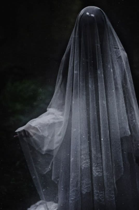 ancientpheonix0's tweet image. The widow 💕🤍