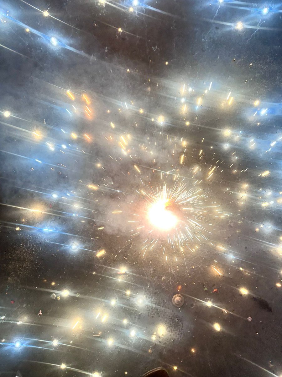 iBuyCatnip's tweet image. Happy Diwali catterinos