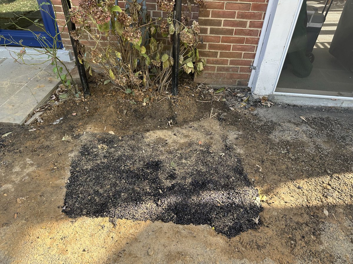 Peter M. Levine tweet media