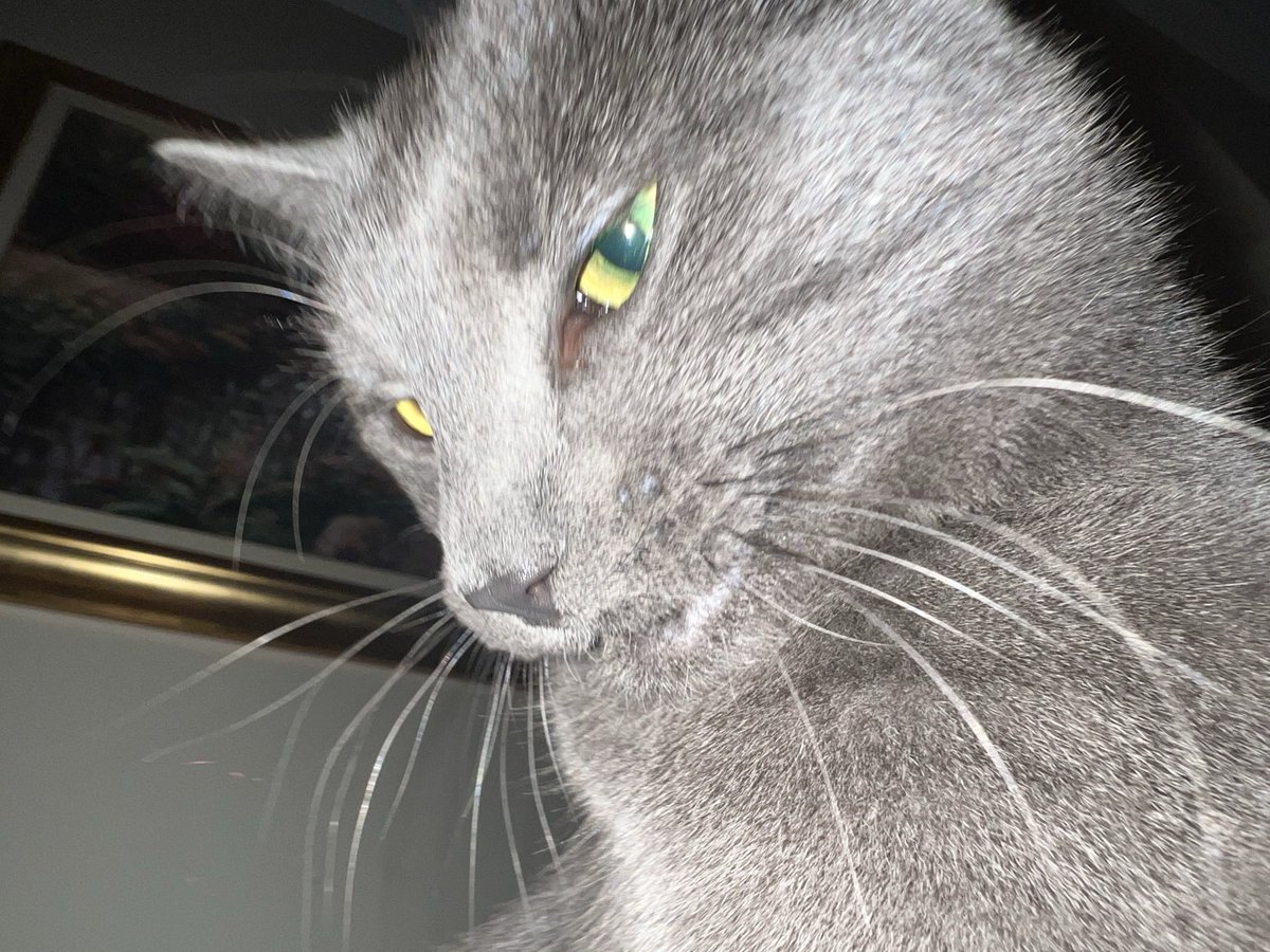 stuffymint's tweet image. Thanks Hal.
Meh heh heh heh heh!