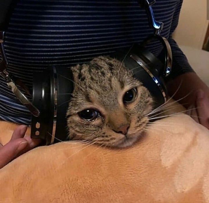 micasutt (@micasutt) on Twitter photo 