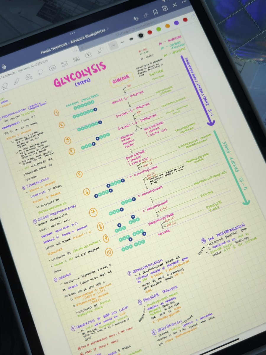 arikhive's tweet image. creating flashcards for biochem!
did an advance reading on glycolysis (my notes aren't perfect and i think i got some steps wrong 😆 don't mind it)