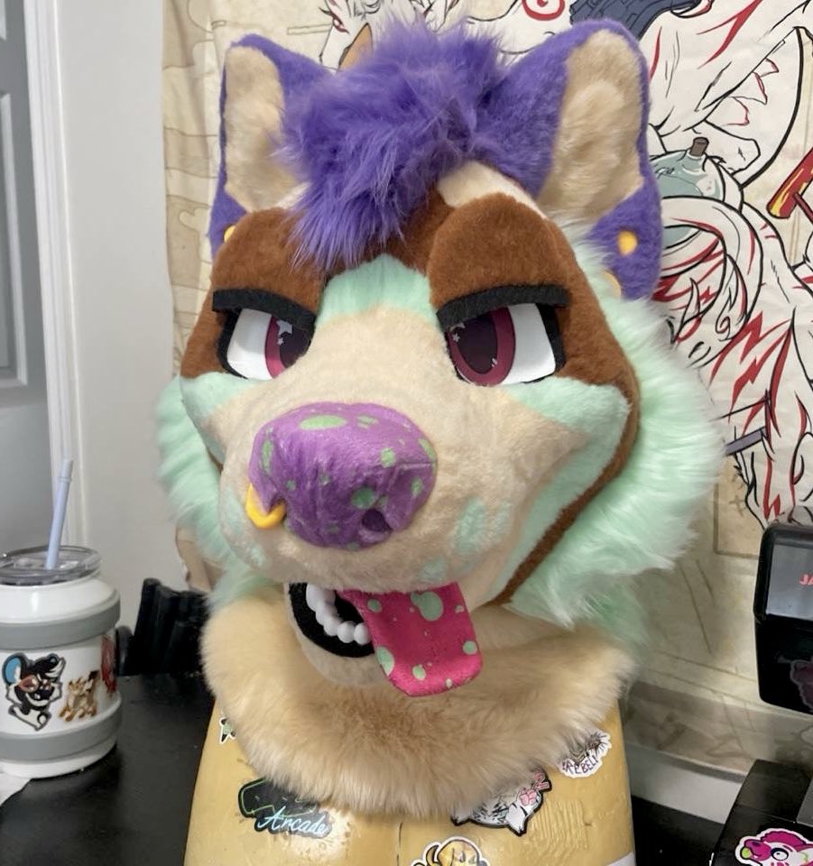 ginkgo🪻 tweet media