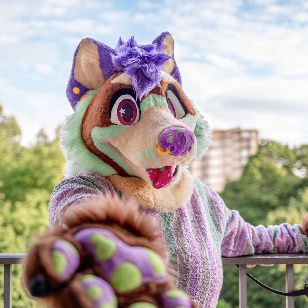 ginkgo🪻 tweet media