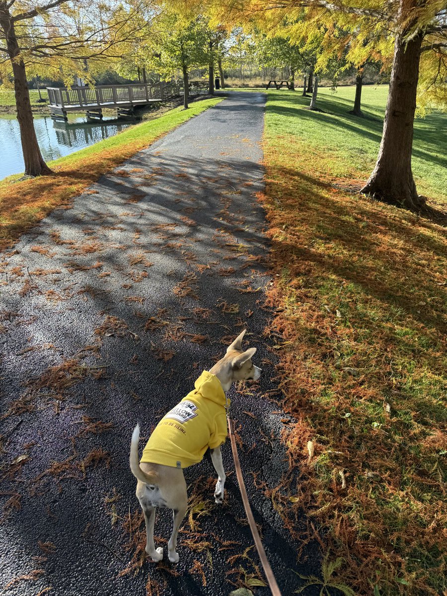 #HappyFall #TouchGrass