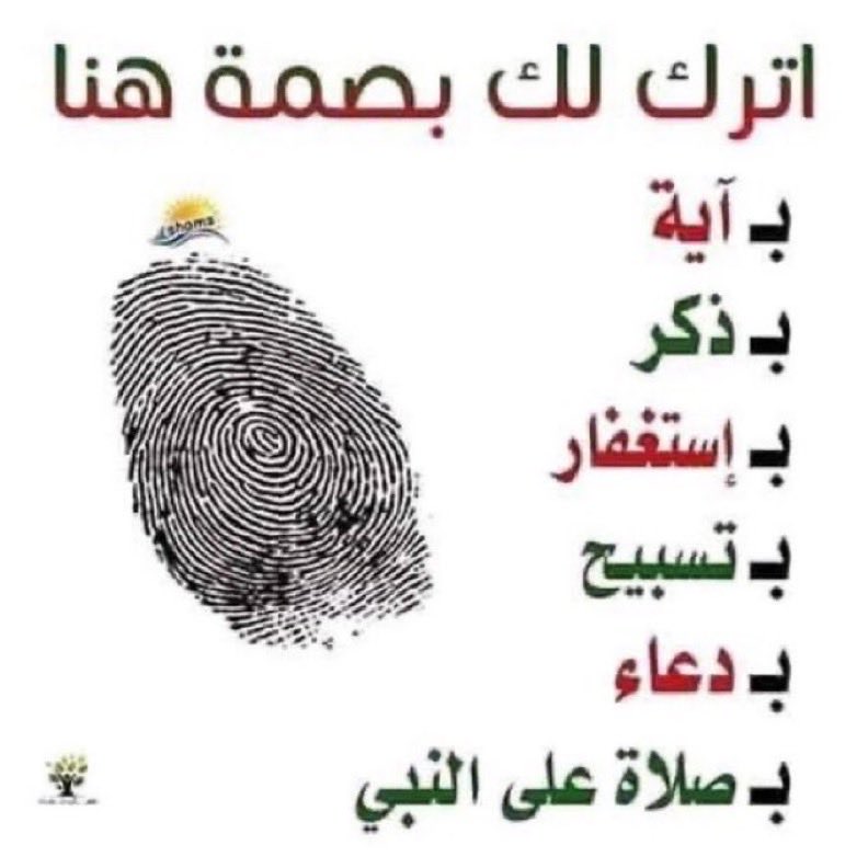 سعود tweet media
