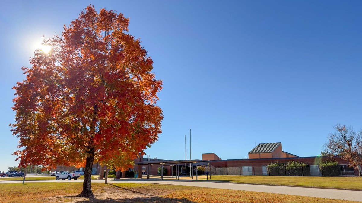 It is definitely looking like fall at my school!