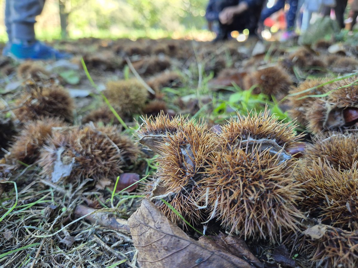 #I4Farigola i #I5Farigola hem tingut un gran dia per gaudir de la tardor!