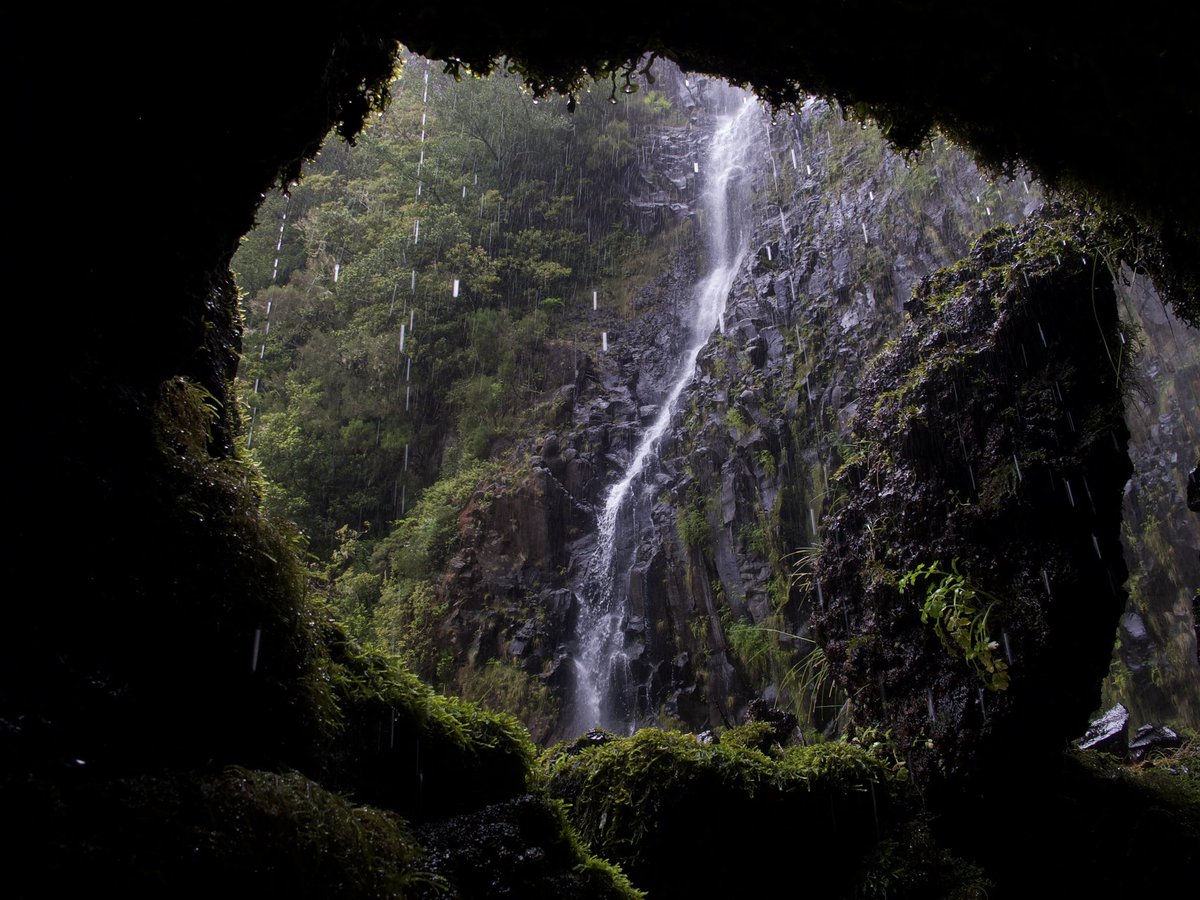 A window to another