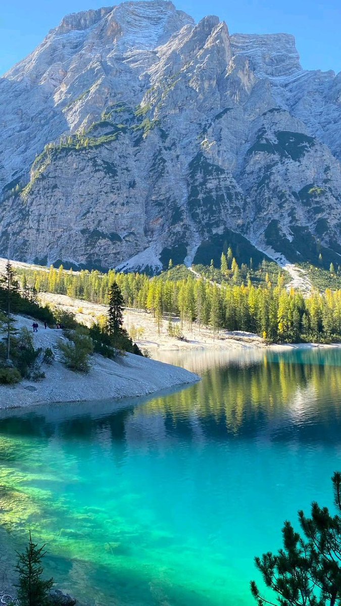 Earth Pictures tweet media