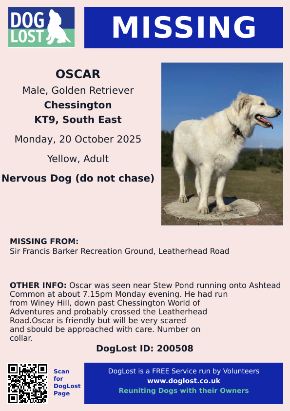 MissingPetsGB's tweet photo. 🐕 OSCAR spooked by #fireworks, ran away from Sir Francis Barker Ground, Leatherhead Road in #Chessington #Surrey #KT9
on 20 October 2025
He’s easily scared, will be missing his family. Please contact asap if seen. Wearing a collar with number. https://t.co/NFMecwxnlM