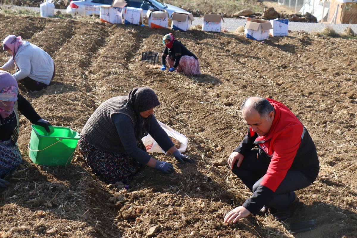 corumtarimorman's tweet photo. İl Müdürümüz Hasan Taş ve İl Müdür Yardımcımız Bayram Rıdvan Dikici, ilimiz Merkez Kultak Köyü'nde gerçekleştirilen safran dikimini yerinde incelediler. https://t.co/dQlk6kuhIm