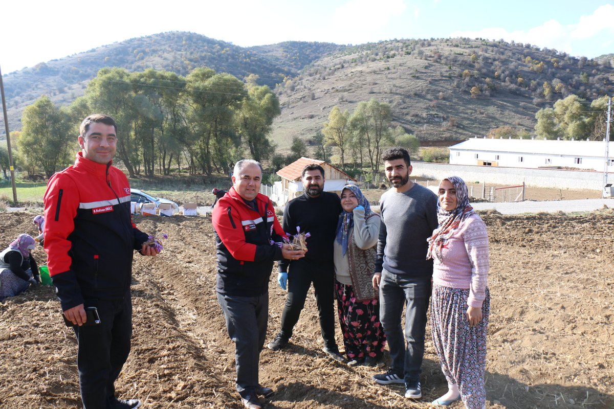 corumtarimorman's tweet photo. İl Müdürümüz Hasan Taş ve İl Müdür Yardımcımız Bayram Rıdvan Dikici, ilimiz Merkez Kultak Köyü'nde gerçekleştirilen safran dikimini yerinde incelediler. https://t.co/dQlk6kuhIm