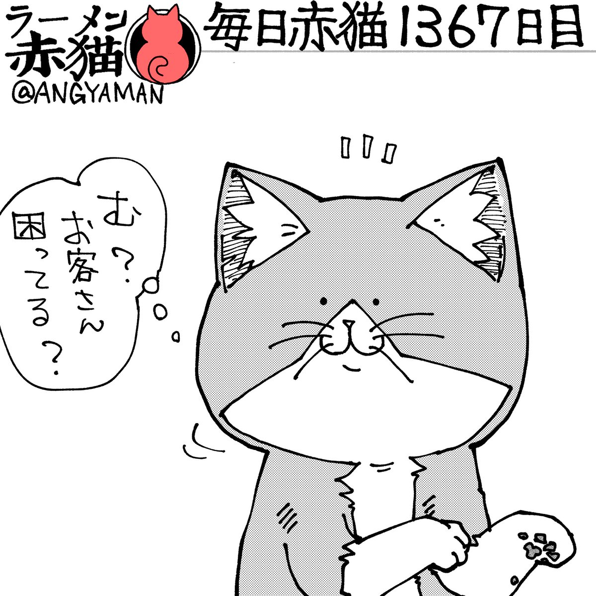 猫さん