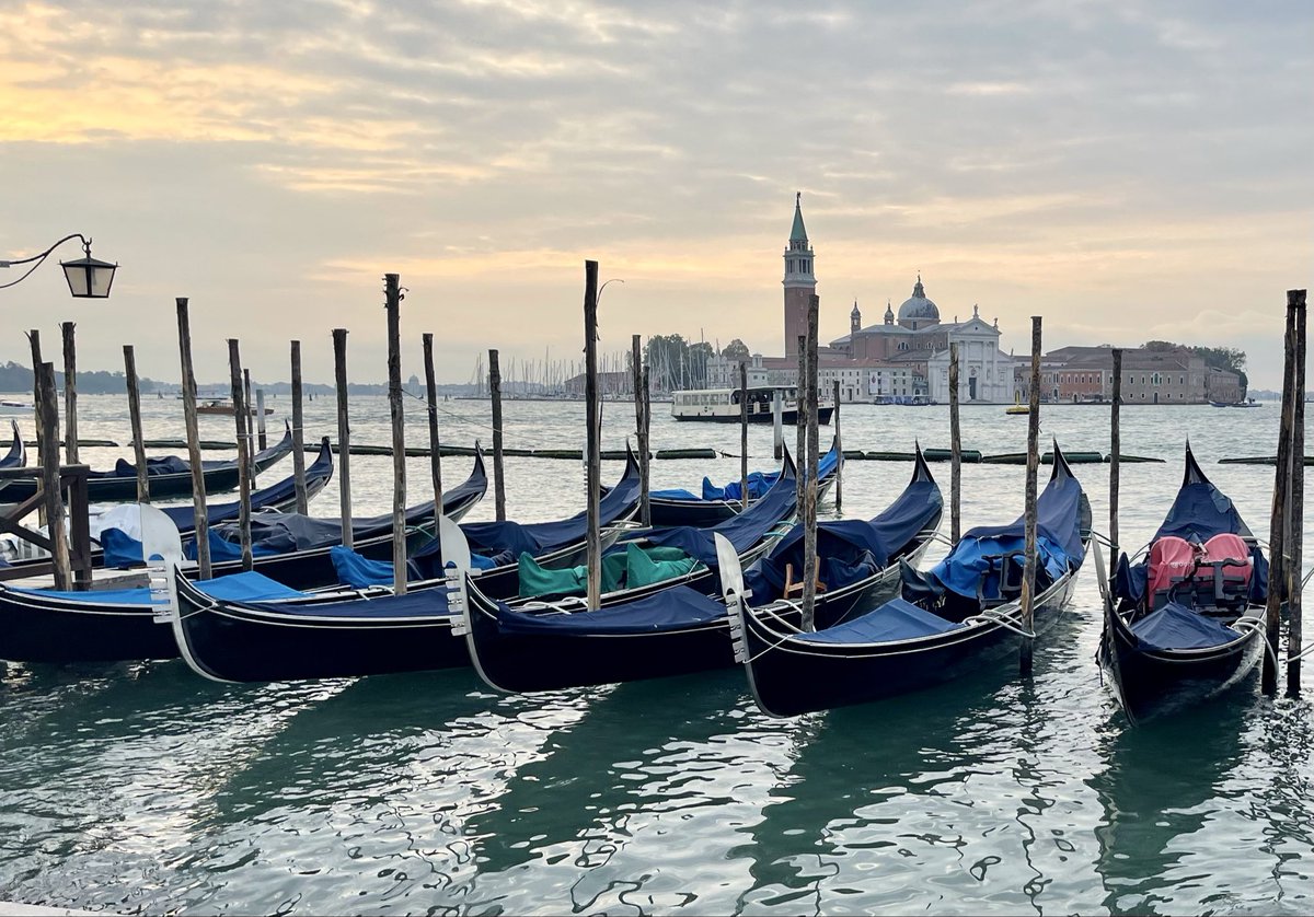 David Martin tweet media