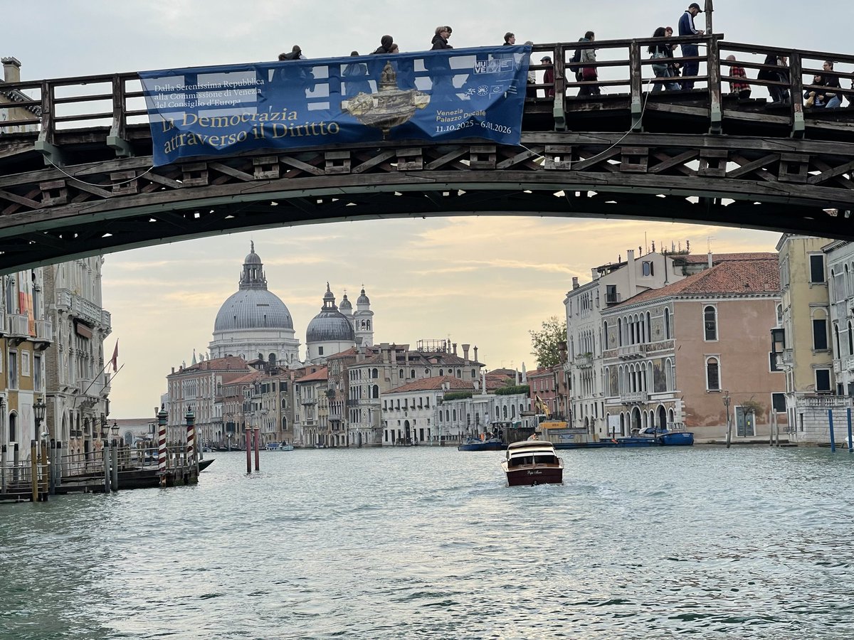 David Martin tweet media