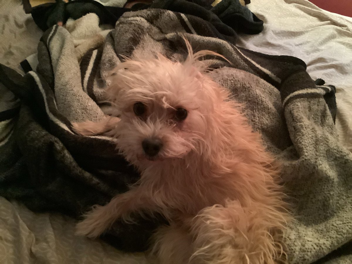 GrundleMyNundlle tweet media