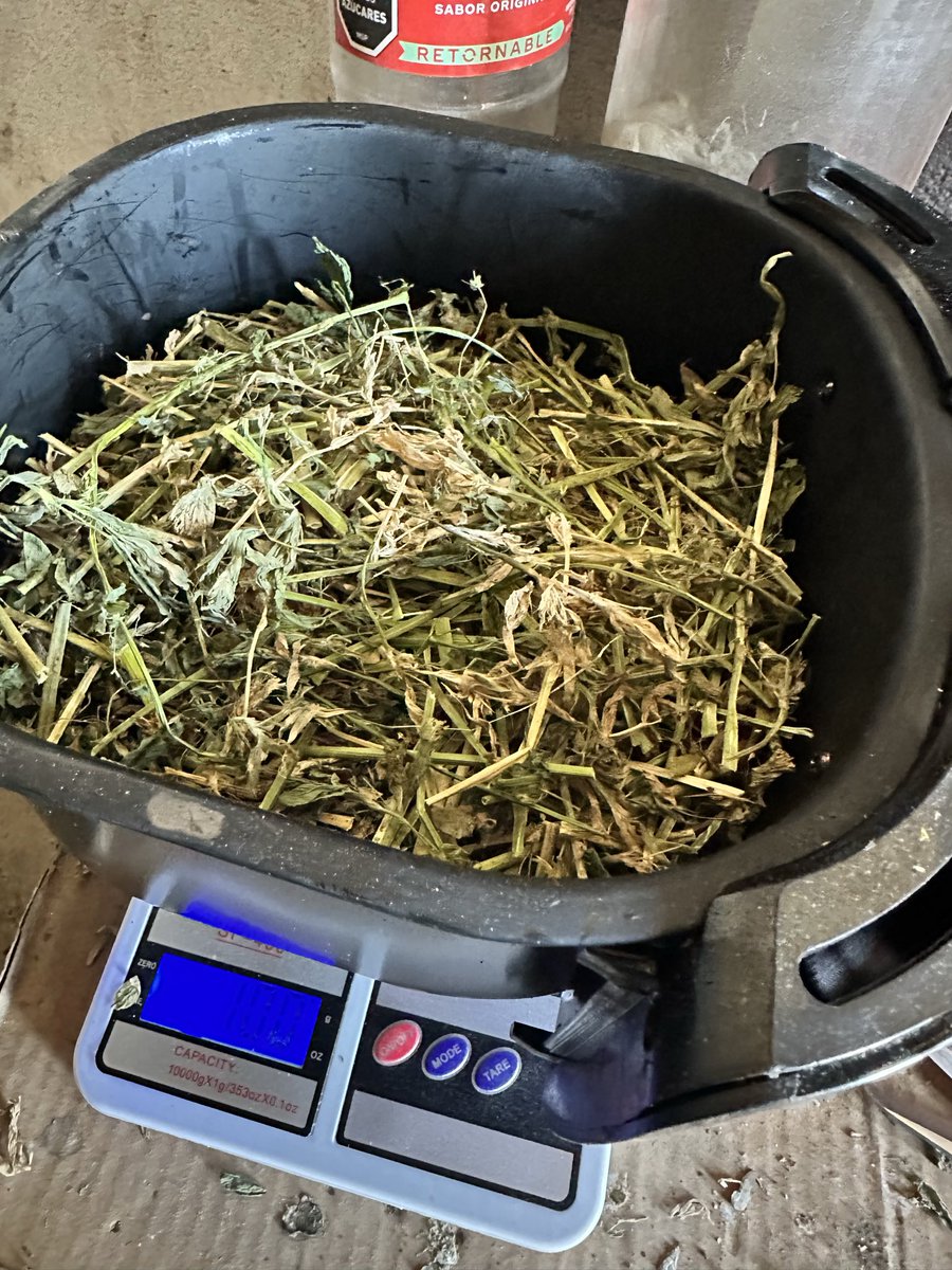 Saber la humedad de los pastos a la hora de hacer fardos en clave y fundamental 

En <a href="/sns_uruguay/">Smart Natural Solutions SNS Uruguay</a> contamos con n #ForageProtector que nos permite hacer fardos en el orden de 22-25% de humedad

No solo ganamos tiempo sino que la calidad de esos #fardos es superior