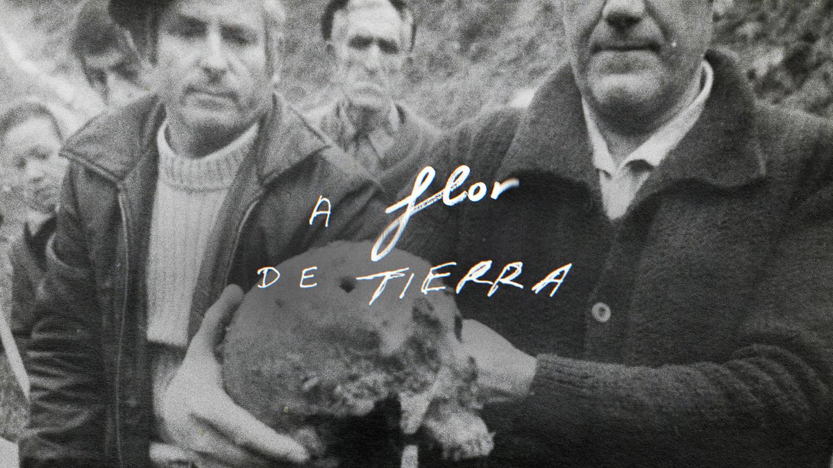 RTVE Noticias tweet media