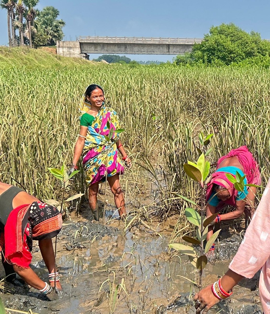 Odisha Paryavaran Sanrakshan Abhiyan Trust tweet media