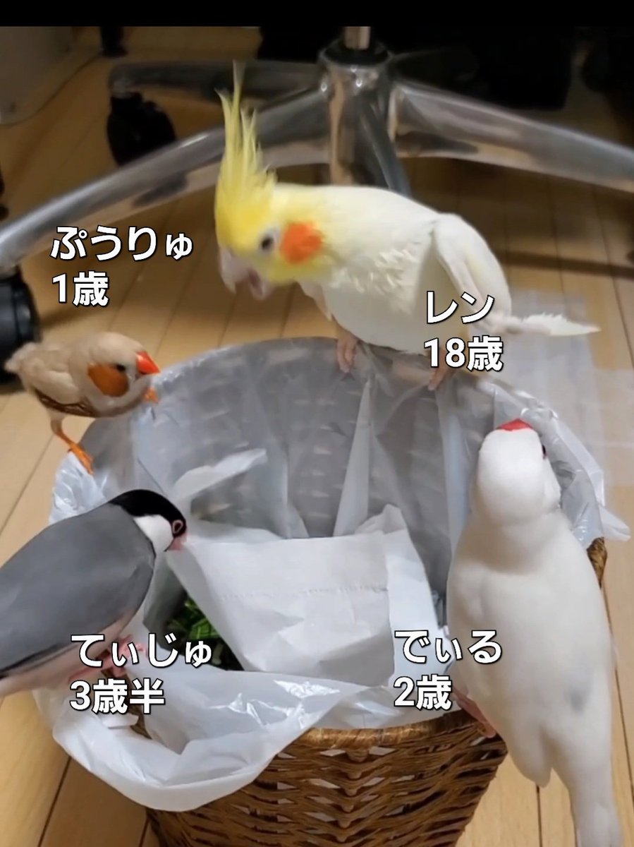 油絵 やまちゃん確認 ベストフレンド*ヘラジカと鳥 油絵 やまちゃん様