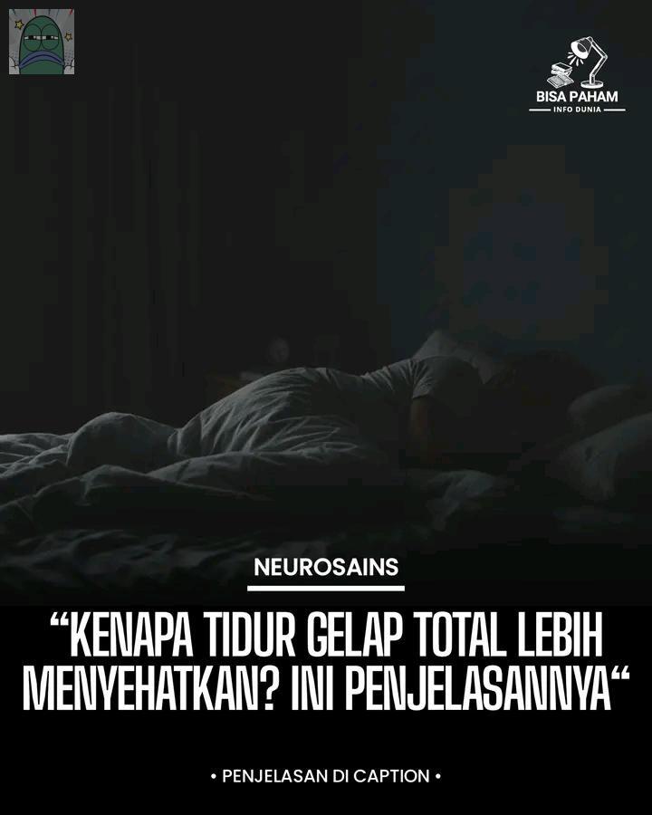 💚 Tidur dgn lampu glp total emg se adem dan se nyaman itu sih klu buat sender aplg klu lg sakit demam macam skrg rasanya cpt ke pemulihan, oh iya klu kalian tim tidur gelap total, remang atau lampu nyala?