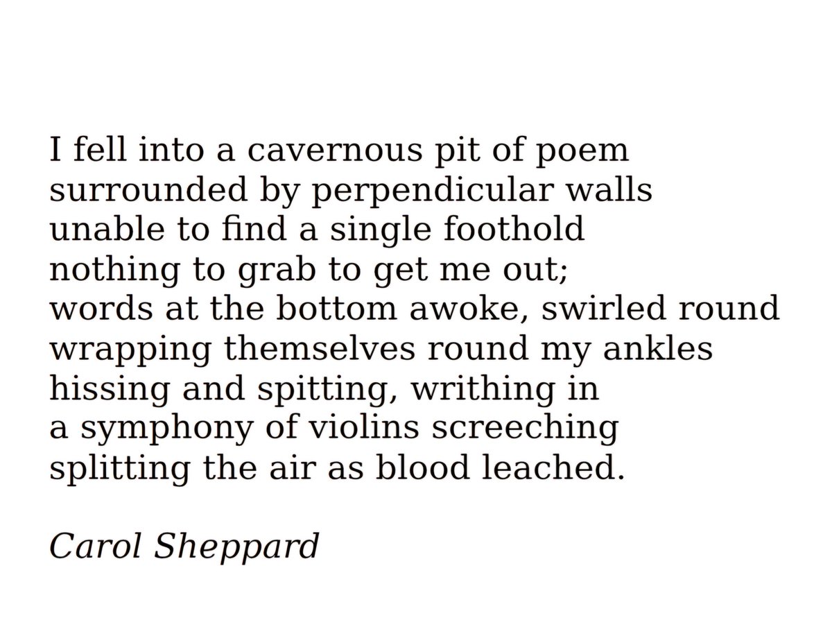 Carol Sheppard tweet media