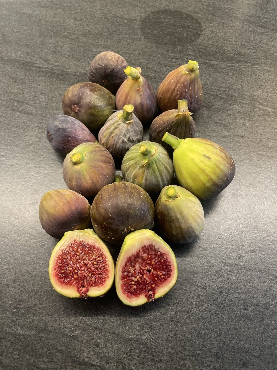 Feigenernte in Wien Mitte Oktober, klein aber sehr fein … 
#Lebenszeichen 1/3