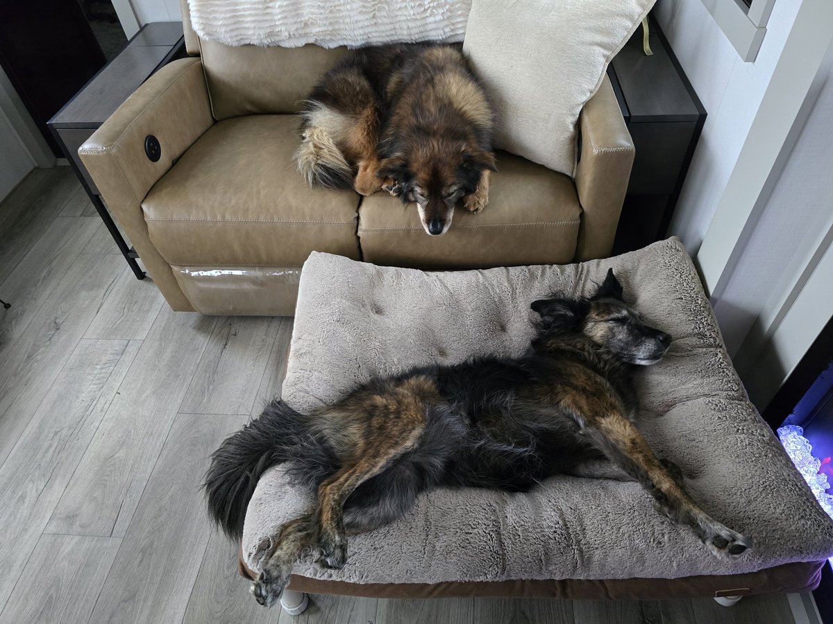 She had a seizure at 4:30.
He's keeping her company. 

Been a wild ass day. And it's only 9:30...