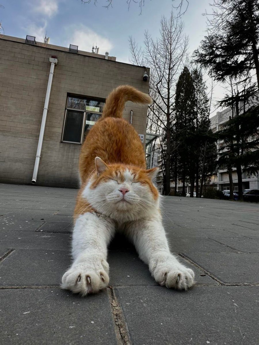 I saw this scene when I was going downstairs. It was really cute.