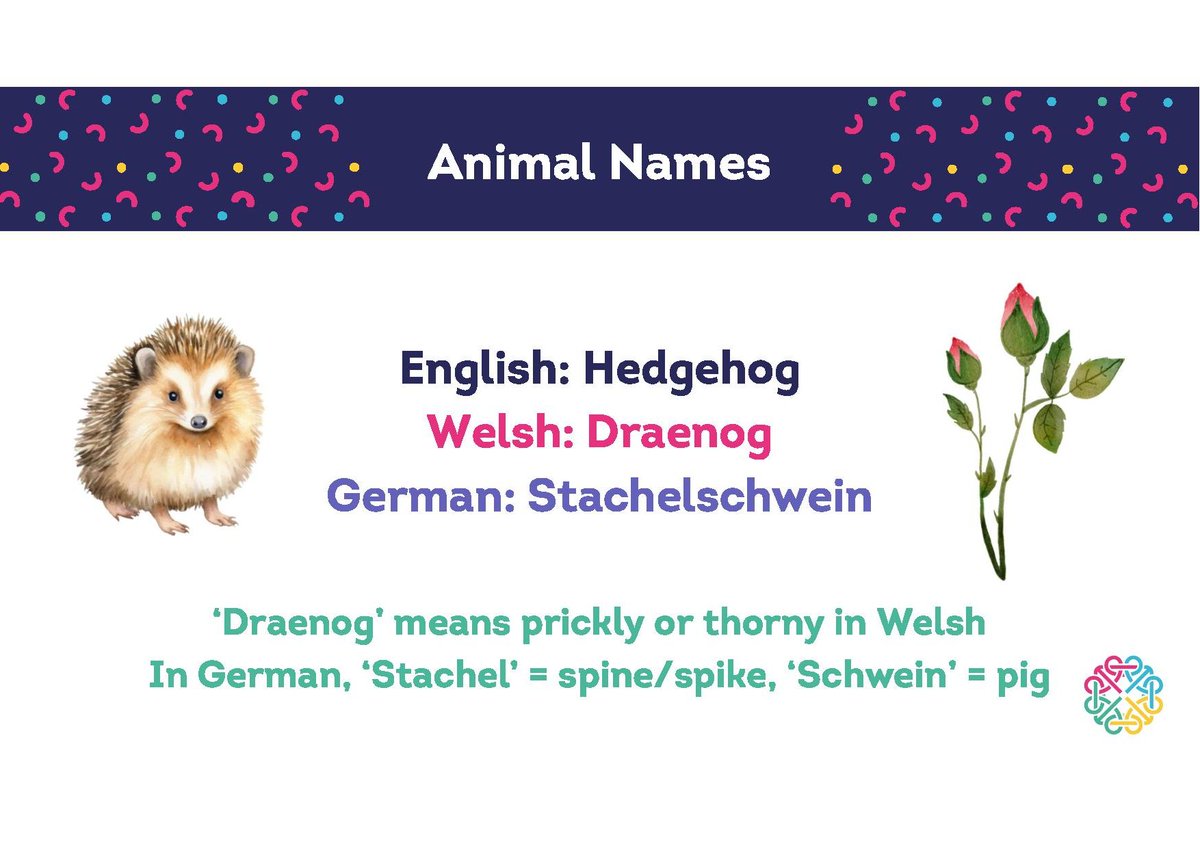 MFLMentoring's tweet image. 📦The Alebrijes resources include worksheets, quizzes,   vocab match-ups &amp;amp; creative tasks. Download, adapt &amp;amp; inspire your learners! 🧑‍🏫📥 #FreeTeachingResources   #CurriculumForWales